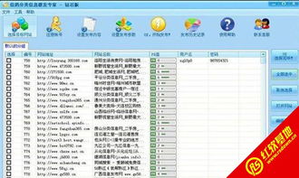 信鸽分类信息营销软件 助力赛鸽高效运营的数字化解决方案