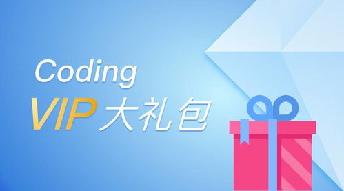 和 Coding 团队一起使用 JetBrains IDE 全面提升软件开发效率